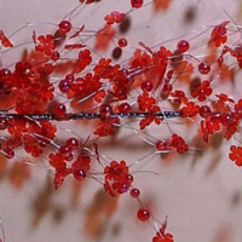 Κλαδί Πολυεστερικό