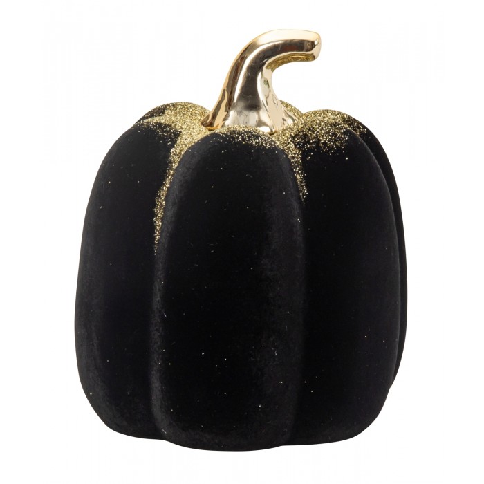 Κολοκύθα Με Γκλίτερ 1609