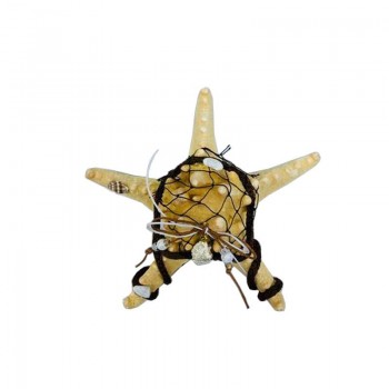 Αστερίας Φυσικός Διακοσμημένος 183216